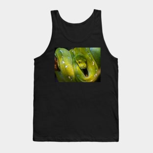 Green Tree Python, Australia Tank Top